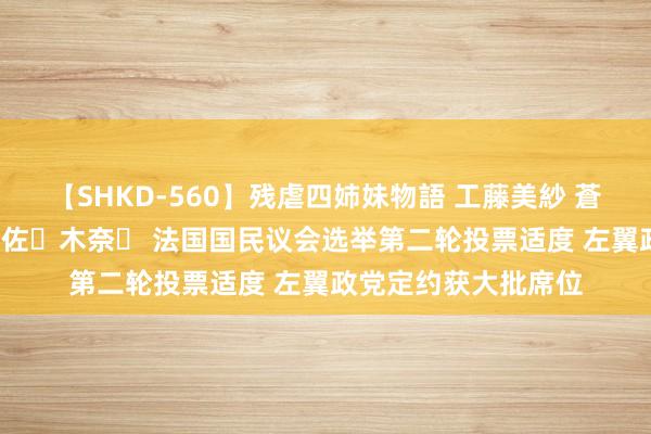 【SHKD-560】残虐四姉妹物語 工藤美紗 蒼井さくら 中谷美結 佐々木奈々 法国国民议会选举第二轮投票适度 左翼政党定约获大批席位