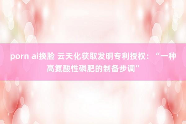 porn ai换脸 云天化获取发明专利授权：“一种高氮酸性磷肥的制备步调”