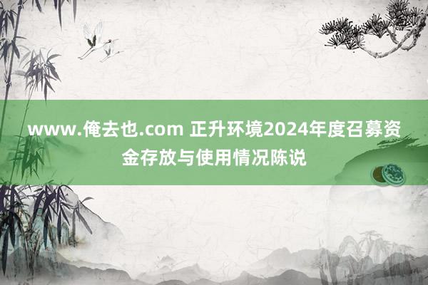 www.俺去也.com 正升环境2024年度召募资金存放与使用情况陈说