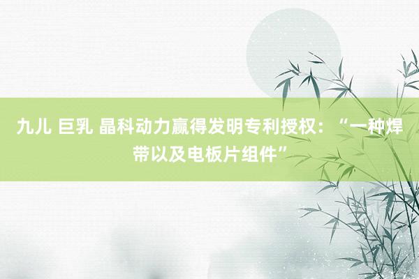 九儿 巨乳 晶科动力赢得发明专利授权：“一种焊带以及电板片组件”