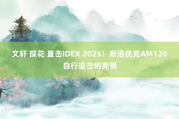 文轩 探花 直击IDEX 2025！斯洛伐克AM120自行迫击炮亮相
