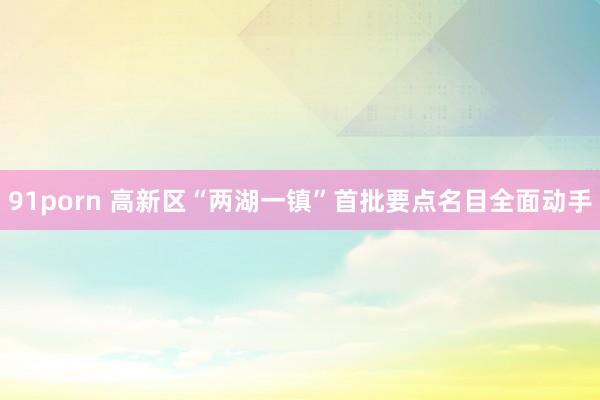 91porn 高新区“两湖一镇”首批要点名目全面动手