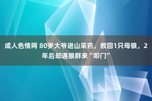成人色情网 80岁大爷进山采药，救回1只母狼，2年后却遇狼群来“叩门”