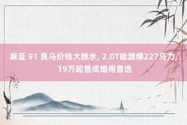麻豆 91 良马价钱大跳水, 2.0T能源爆227马力, 19万起售成婚用首选