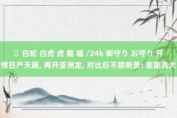 ✨白蛇 白虎 虎 龍 福 /24k 御守り お守り 开惯日产天籁, 再开亚洲龙, 对比后不禁艳羡: 差距真大