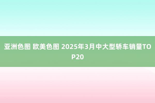 亚洲色图 欧美色图 2025年3月中大型轿车销量TOP20