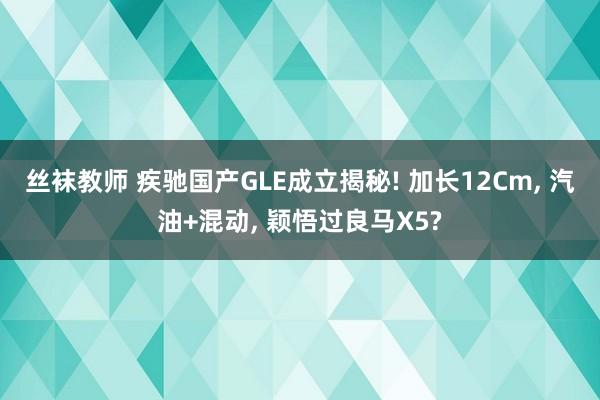 丝袜教师 疾驰国产GLE成立揭秘! 加长12Cm, 汽油+混动, 颖悟过良马X5?