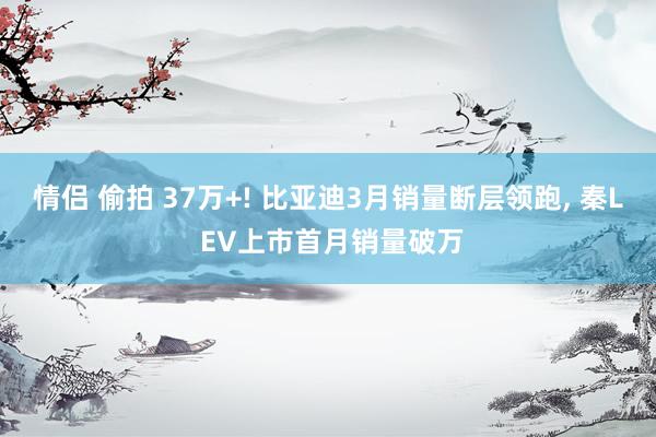 情侣 偷拍 37万+! 比亚迪3月销量断层领跑, 秦L EV上市首月销量破万