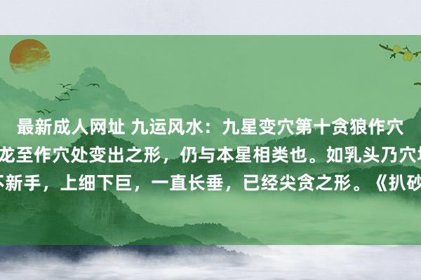 最新成人网址 九运风水:九星变穴第十贪狼作穴是乳头,变穴言九星行龙至作穴处变出之形,仍与本星相类也。如乳头乃穴场大象,双方并不新手,上细下巨,一直长垂,已经尖贪之形。《扒砂》谓“贪狼无臂”是也。但乳头有兀立者...