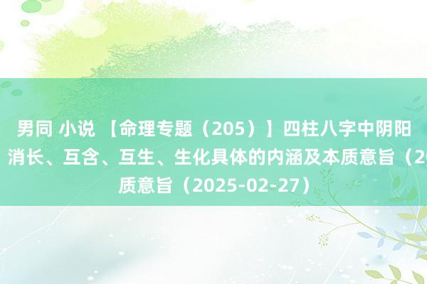 男同 小说 【命理专题（205）】四柱八字中阴阳对立、互依、消长、互含、互生、生化具体的内涵及本质意旨（2025-02-27）