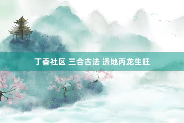 丁香社区 三合古法 透地丙龙生旺