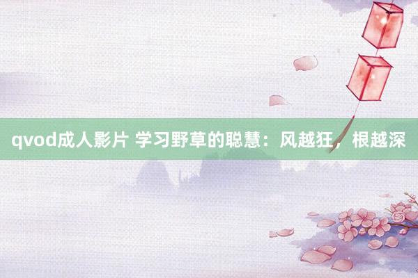 qvod成人影片 学习野草的聪慧：风越狂，根越深