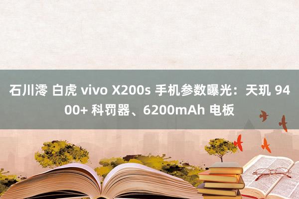 石川澪 白虎 vivo X200s 手机参数曝光：天玑 9400+ 科罚器、6200mAh 电板